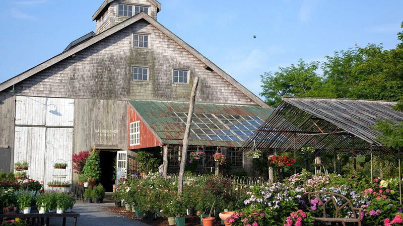 Best Nursery in the Hamptons: Why Marders in Bridgehampton Feels Different